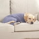 thumbnail image 3 of Ropa De Algodón Para Perros Grandes En Invierno. Artículos Para Mascotas Resistentes A La Nieve Y Gruesos Para Perros Medianos Y Grandes., 3 of 8