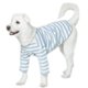 thumbnail image 1 of Lucky Petter Camisas De Algodón Para Perros Pequeños Y Grandes, Camisetas De Rugby A Rayas, Suave Y Transpirable, Ropa Para Mascotas (4Xl Marfil/Azul), 1 of 1
