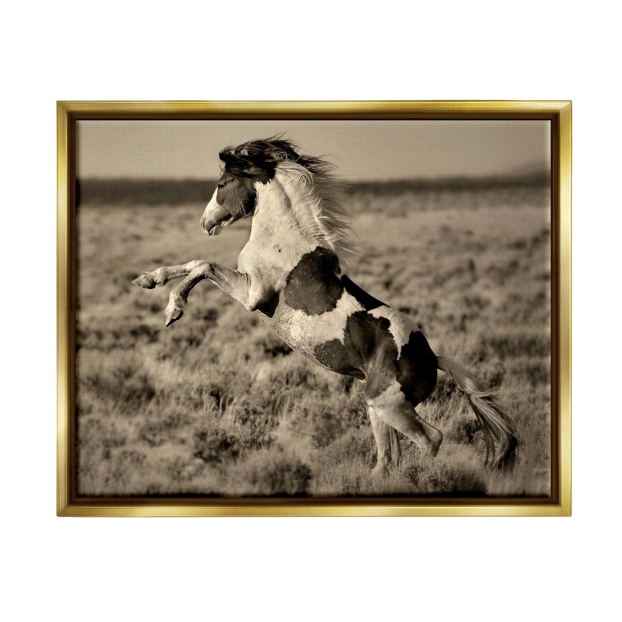 Stupell Industries Rearing Spotted Horse Rural Countryside Field Photography Photograph Metallic Gold Floating Framed Canvas Print Wall Art, Design by Lisa Dearing