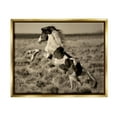 thumbnail image 3 of Stupell Industries Rearing Spotted Horse Rural Countryside Field Photography Photograph Metallic Gold Floating Framed Canvas Print Wall Art, Design by Lisa Dearing, 3 of 5