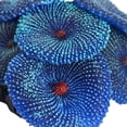 thumbnail image 5 of Aquarium Artificial Coral Fish Tank Landscape Decoration Plant Simulation Vivid Soft Coral Ornament Fish Tank Decoration Blue, 5 of 9