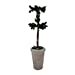 thumbnail image 2 of Modern Home 13" Real Preserved Boxwood Monogram Letters w/Terra Cotta Pot - I, 2 of 9