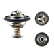 thumbnail image 1 of Termostato Part Master Para Gmc Savana 3500 2003 - 2003, 1 of 1