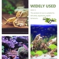 thumbnail image 3 of PENIKOKO Multi Resin Terrarium Faux Plant Model for Amphibian Habitat 1Pack, 3 of 6