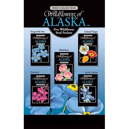 Alaskagift Ak Wildflower Seed Postcard Set