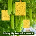 thumbnail image 3 of Sticky Traps Qualirey, 100 unidades, trampas adhesivas de doble cara para plantas, 3 of 7