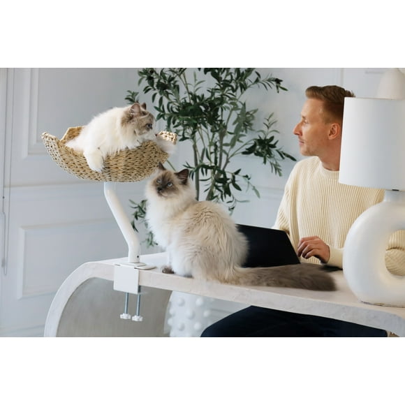 Lit pour Chat Monté sur Bureau, Chaise Longue Moderne Durable pour Chat, Lit pour Chat Tissé à la Main, Perchoir pour Chat avec Bras Blanc, Mobilier pour Chats, Cadeau pour Amateur de Chats, Mobilier pour Chat par ERGO PURRCH (Blanc)