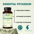 thumbnail image 3 of Vitamin World Potassium 99 mg Minerals Vegetarian Dietary Supplement 250 caplets, 3 of 7