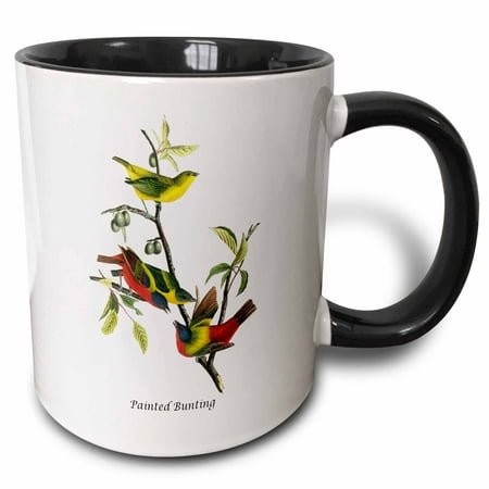 

3dRose Painted Bunting by John James Audubon Two Tone Black Mug 11oz