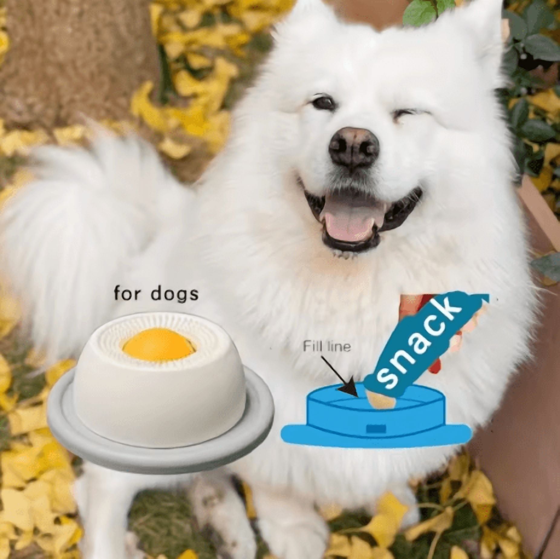 Dog Lick Toy - Slow Feeder Lick Mat for Dogs and Cats with Suction Cups ,Textured Enrichment Toy for Dogs and Cats, Food-Grade PP Material for Anxiety Relief, Healthy Eating & Mental Stimulation