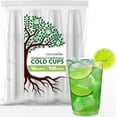 TRAHOO16 oz Clear Commercially Compostable Cold Cups (100 Pack) Plant
