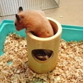 thumbnail image 4 of Natural Wood Tunnel Small Animal Bamboo Chew Toy 3 Holes Playground Durable Hideout for Ferret Rat Sugar Glider Rabbit, 4 of 8