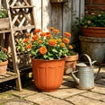thumbnail image 6 of Plastic Flower Pots, Wavy Rim Planters, Faux-Ceramic Brown Flower Pots With Base Tray, Lightweight Durable Gardening Containers For Indoor Outdoor Use, 6 of 6