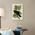thumbnail image 4 of Great Big Canvas "Raven"  by John James Audubon Black Dark Forest Green   Wrapped Canvas Print Wall Artwork, 4 of 7