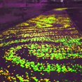 thumbnail image 4 of DosaeleGlow Luminous Decor Gravel Cobble Crafts Dark Tank Pebbles Landscaping fluorescent Rocks for Path Aquarium Yard Garden, 4 of 8