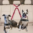 thumbnail image 4 of Double Dog Seat Belt New Pet Car Headrest Seat Belt, Anti Tangling, Adjustable Elastic Bungee, for Travel with Two Dogs, 4 of 4