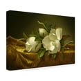 thumbnail image 4 of Martin Johnson Heade 'Magnolias On Gold Velvet Cloth' Canvas Art, 4 of 4