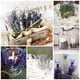 thumbnail image 2 of Flores secas de lavanda Cedar Space, 40 cm, 2 racimos, 2 of 6