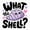 1pcs, variant on What The Shell! Funny Cute Seashell Pun Sticker