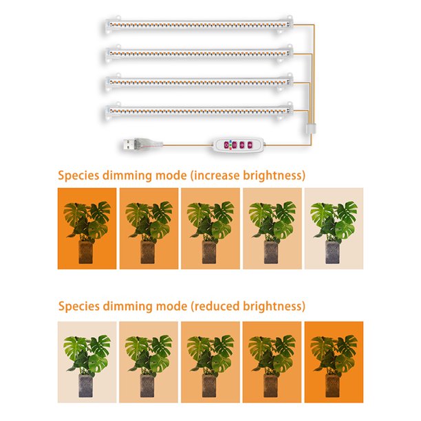 Lámpara Phyto de luz práctica para cultivo de plantas plántulas hidropónicas Ehuebsd luces de flores suministros de fitolamp de espectro completo