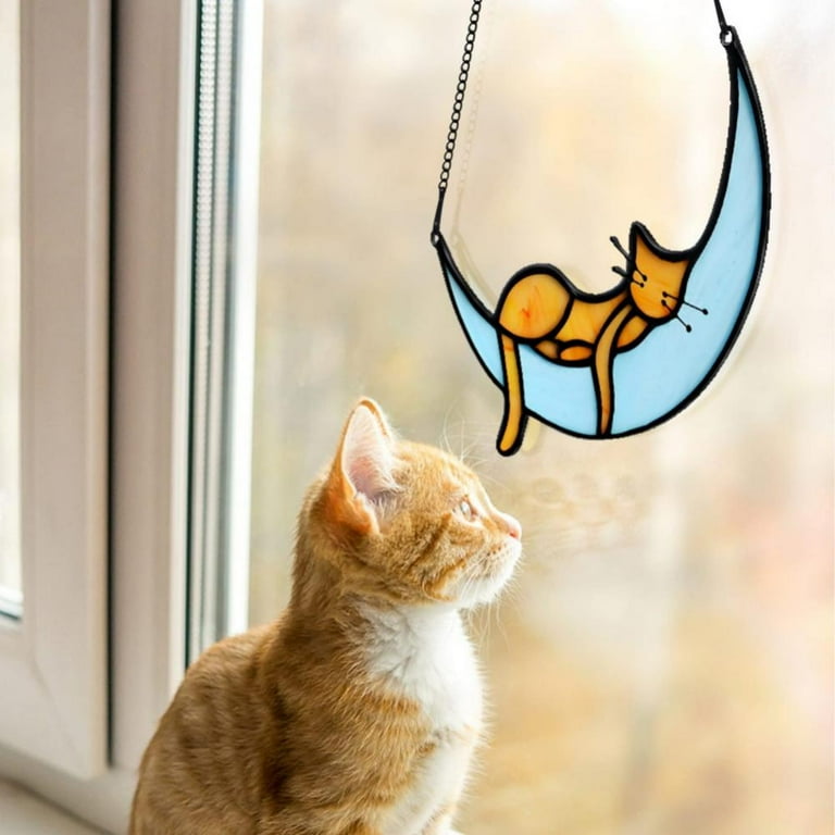 Cat top themed accessories