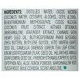 thumbnail image 2 of Camille Rose Naturals Coconut Water Leave-In 8.0 oz, 2 of 2