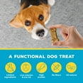 thumbnail image 3 of Brutus Bone Broth Biscuits for Dogs - Protein-Rich Dog Treats with Bone Broth and Real Beef - All Natural and Tasty - 8oz, Pack of 1, Beef Flavor, 3 of 7