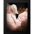 thumbnail image 2 of Van Swearingen, Debra 19x24 Black Modern Framed Museum Art Print Titled - Chilean Flamingo II, 2 of 5