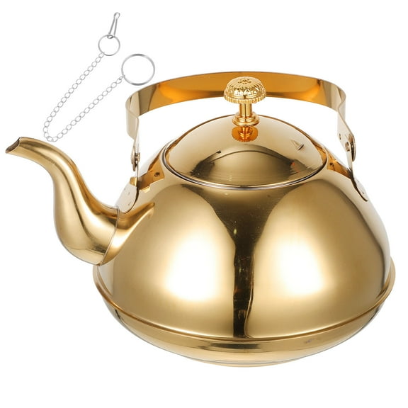 Worgeous 1Pcs Chinese Tea Pot with Infuser for Home and Tearooms