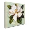 thumbnail image 2 of Trademark Fine Art 'Nouveau Botanica' Canvas Art by Tina Lavoie, 2 of 3