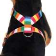thumbnail image 2 of PetsHome - Arnés para mascotas ajustable sin tirones seguro para perros para caminar al aire libre para perros arcoíris mediano, 2 of 5