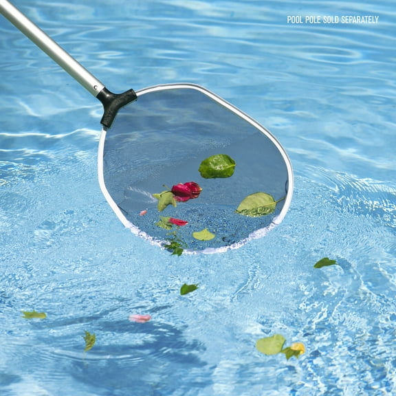 Pool Spa Pro Deluxe Swimming Pool and Spa Leaf Skimmer