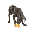 thumbnail image 3 of West Paw Zogoflex Qwizl Small 5.5" Dog Toy Tangerine, 3 of 5