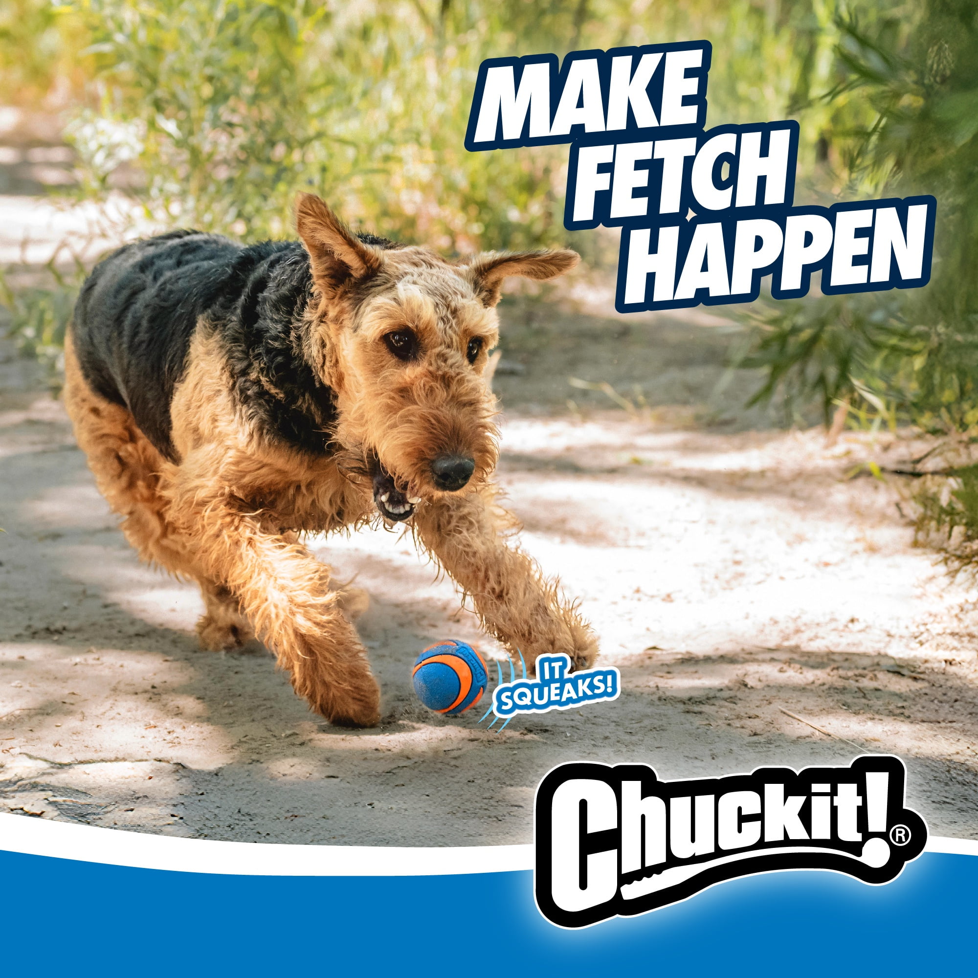 Chuckit! Sonic Ultra Squeaker Ball & Super Crunch Ball Fetch Dog Toy, Medium 2.5" for Dogs 20 to 60 lb, Blue, Pack of 2