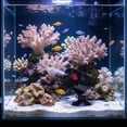 thumbnail image 4 of Cmunyle Aquarium Wave Maker Pump 3W Submersible Low Noise Water Circulation Device For Simulating Natural Flows In Household Fish Tank Use, 4 of 6