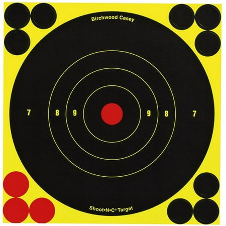 Birchwood Casey Shoot-N-C Targets: Bull's-Eye (Best Rifle For Target Shooting)