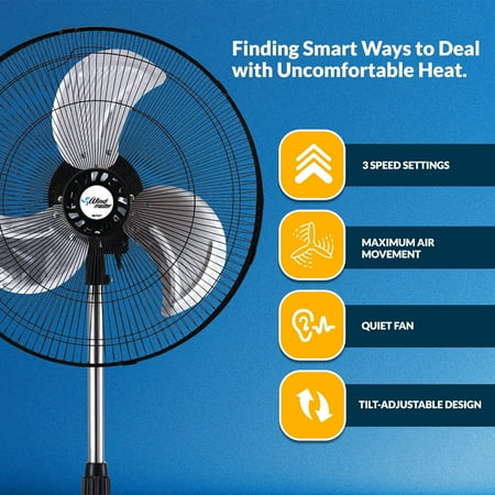 PAMI 18 Oscillating Pedestal Fan with Adjustable Height & 3 Speed Settings, High-Velocity Stand Fan for Home & Bedroom, Black