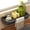 Black, variant on ZZkhGO Plastic Kitchen Sink Caddy, Cutout Letter Plan Sink Top Organizer, Brushes, Soap, Kitchen Counter Storage Tray with Drainage for Cleaning Supplies, Gray