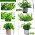 thumbnail image 5 of Artificial Potted Plants 3Pack Realistic Ferns Plants Plastic Rosemary Plants Potted in Pot Fake Small Eucalyptus Greenery for Office Desk Kitchen Bedroom Bathroom Outdoor Indoor Home Decor, 5 of 8