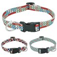 thumbnail image 4 of Printed Pet Collar Pet Leash Set, 4 of 4