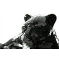 thumbnail image 6 of Signature Design by Ashley Contemporary Drice Panther Sculpture  Black, 6 of 8