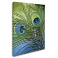 thumbnail image 3 of Trademark Fine Art "Peacock Candy I" Canvas Art by Color Bakery, 3 of 4