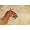 thumbnail image 2 of Murdock, Ramona 18x13 White Modern Wood Framed Museum Art Print Titled - After Chocolate II, 2 of 4