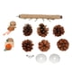 thumbnail image 3 of Soporte de conos de pino para loros, bolas de ratán de juguete, cuerda de cáñamo tejida, percha de madera para pájaros pequeños, periquitos y cacatúas, 3 of 8