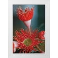 thumbnail image 3 of Erin Berzel 11x14 White Modern Wood Framed Wall Art Titled - Summer Bloom XII, 3 of 5