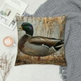 thumbnail image 2 of Shiartex  Drake Duck Throw Pillow Cushion Cover,  Breed Aquatic Bird on Twigs Animal Print, Decorative Square Accent Pillow Case, Multicolor White, 2 of 5