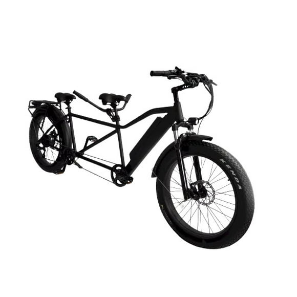 Two Person Bike for Sale - Hybrid Tandem Electric Adventure