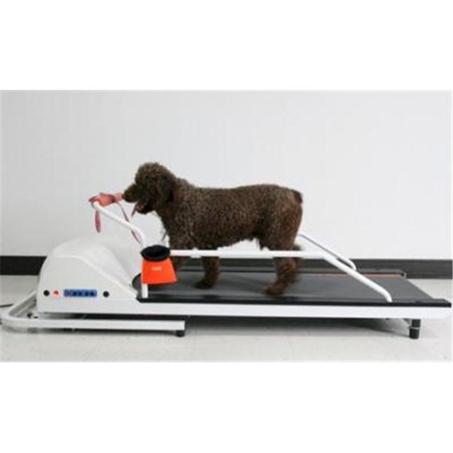 GoPet PR700 Dog Treadmill For Dogs Up To 45 Pounds