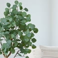 thumbnail image 4 of Nearly Natural 4ft. Artificial Eucalyptus Tree, Green, 4 of 6