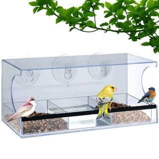 Window Bird Feeder – PAWBEE STORE